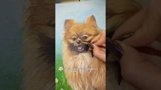 Рисуем помчика акрилом #мастеркласс #обучениерисованию #померанскийшпиц
