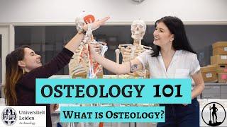 OSTEOLOGY 101: What is Osteology? Part 1 of 5 | Dig it With Raven X Leiden University Archaeology