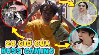 VLOG 24 GIỜ CỦA BUSS GAMING SỐNG Ở QUÊ BẮT NHÁI ĂN SỐNG QUA NGÀY SẼ RA SAO?