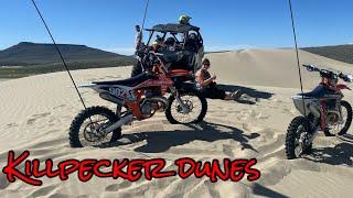 Sand dunes in Wyoming ‍️Killpecker dunes didn’t disappoint over 10,000 acres of free ride!