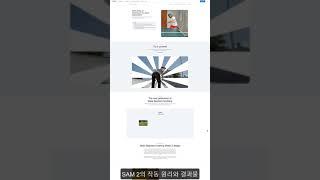 sam 2 비디오 분리 모델 #인공지능 #ai #sam2