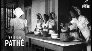 Sekolah Perempuan Indonesia (1947)