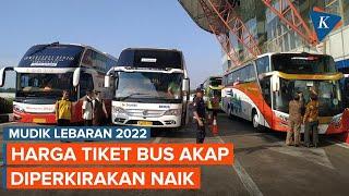 Mudik Lebaran 2022, Harga Tiket Bus AKAP Ekonomi Diperkirakan Naik 10-15 Persen