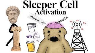 Sleeper Cell Activation