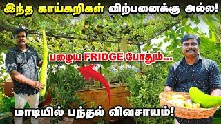 கசக்காத பாகற்காய், ஆள் உயர சுரைக்காய் | மிரள வைக்கும் Sudhagar Krishnan Garden | Vegetables