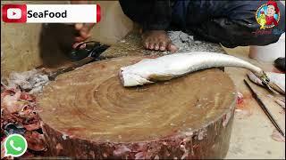 Kukar fish Flathead Cutting - kokkar Machli