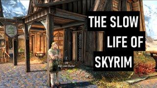 The Slow Life of Skyrim