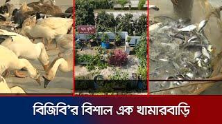 নওগাঁয় বিজিবি'র উদ্যেগে প্রায় ১০০ বিঘা জমিতে বিশাল খামারবাড়ি | Naogaon BGB Farm | Jamuna TV