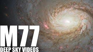 M77 - A Special Kind of Galaxy - Deep Sky Videos