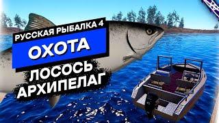 Охота на Лосося, Архипелаг - Русская Рыбалка 4