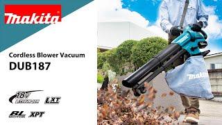 Makita Cordless Blower Vacuum DUB187