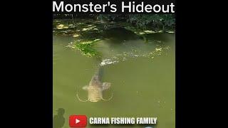  Monster Fish's Hideout  #fishing #bigfish #silure #catfish #shorts