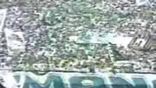 Palmeiras 2x0 Vitória - Palmeiras CAMPEÃO BRASILEIRO 1993!!!