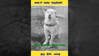 One Minute Real Story in Tamil #shorts #shortsfeed #oneminutemotivation #realstory