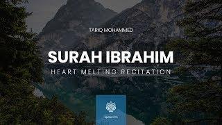 Heart Melting Recitation of Surah Ibrahim  | القارئ طارق محمد | سورة إبراهيم