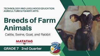 TLE 7- MATATAG CURRICULUM LESSON (2ND QTR) Breeds of Farm Animals: Cattle, Swine, Goat and Rabbit