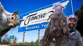 National Forest Squirrel Hunt | Tennessee 10 Squirrel Limit