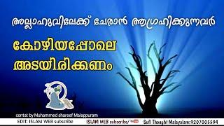 അല്ലാഹുവിലേക്ക് ചേരാൻ ആഗ്രഹിക്കുന്നവർ കോഴിയെ പോലെ അടയിരിക്കണം | Sufi Thought Malayalam | islam web