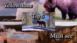 Yellowstone National Park Highlights