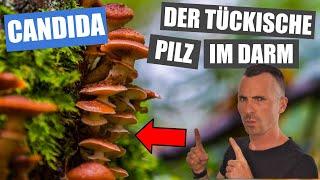 CANDIDA - der Pilz im Darm | 75% haben ihn und so wirst du ihn wieder los!