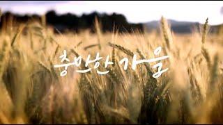 [전남관광 홍보 영상] 충만한 가을