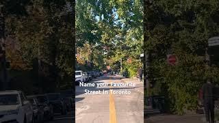 Some Streets in  Toronto are beautiful .! #streetsoftoronto #toronto #Torontolittleitaly