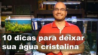 10 dicas para deixar sua água cristalina