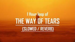 1 hour loop of "The Way of Tears" | slowed and reverb | Hashnooor