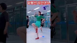 평행선 라인댄스 (노래:문희옥) #linedance