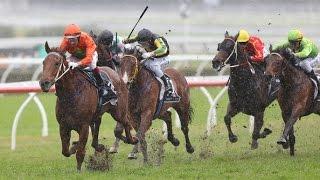 SHOW COUNTY QUALITY-23AUG RANDWICK