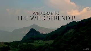 Wild Serendib 2019(Official Trailer)