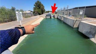 This Roadside Canal Actually Holds Big Fish? (Insane)