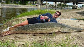 Urban Fishing In Concrete Drainage System! (GIGANTIC)