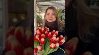 Цветочная палитра Кристины и Ярослава Татановых из деревни Купелы насчитывает 25 сортов тюльпанов
