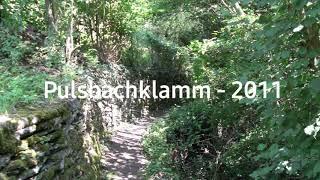 Pulsbachklamm- 2011