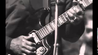 Muddy Waters --Denmark  Copenhagen Jazz festival  October  1968 HD