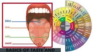 SCA Coffee Sensory Skills Foundation - Part 1 - Sharing my old PowerPoint slides with explanations