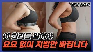 저탄건지 0부터 10까지 모든 총정리 | 저탄건지 총정리 요약 50분