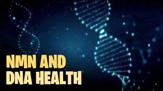 NMN Creates NAD for DNA & Protects From Aging | NR & NMN Breakthrough for a Longer, Healthier Life