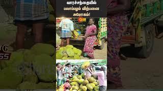 Jackfruit | Sales | Farmers | Viralimalai | Shorts | Sun News