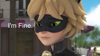 Chat Noir being emotionally damaged for 2 minutes and 57 seconds straight.