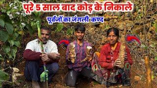 पूरे 5 साल बाद कोड़ के निकाले | जंगली कण्द #Villagelife Sintu Reena Official