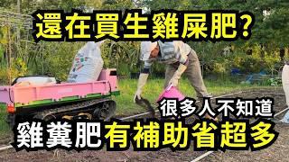 生雞屎真的便宜好用嗎?小心用錯雞糞當肥料，重金屬超標傷土傷作物，如何買雞糞肥省最多錢又安全？| 阿星種植
