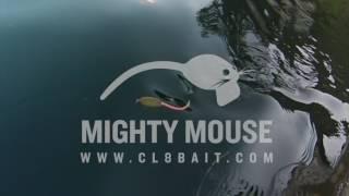 Cl8Bait - Mighty Mouse