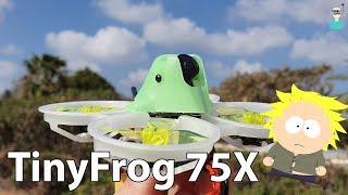 Skystars TinyFrog 75X 3S PowerWhoop - Review & Flight