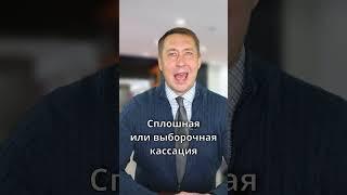 Стадии обжалования приговора суда первой инстанции #shorts #обжалование #апелляция #кассация