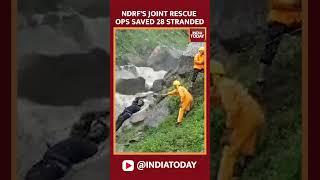 NDRF's Joint Rescue Ops Saved 28 Stranded trekkers From Kinnaur, Himachal Pradesh's Kara Area