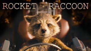 The Name's Rocket - Rocket Raccoon