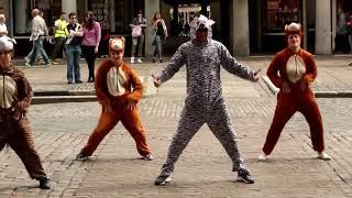 WWF Climate Action Animal Dance Flash Mob