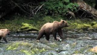 See What You Get Out of an Alaskan Cruise